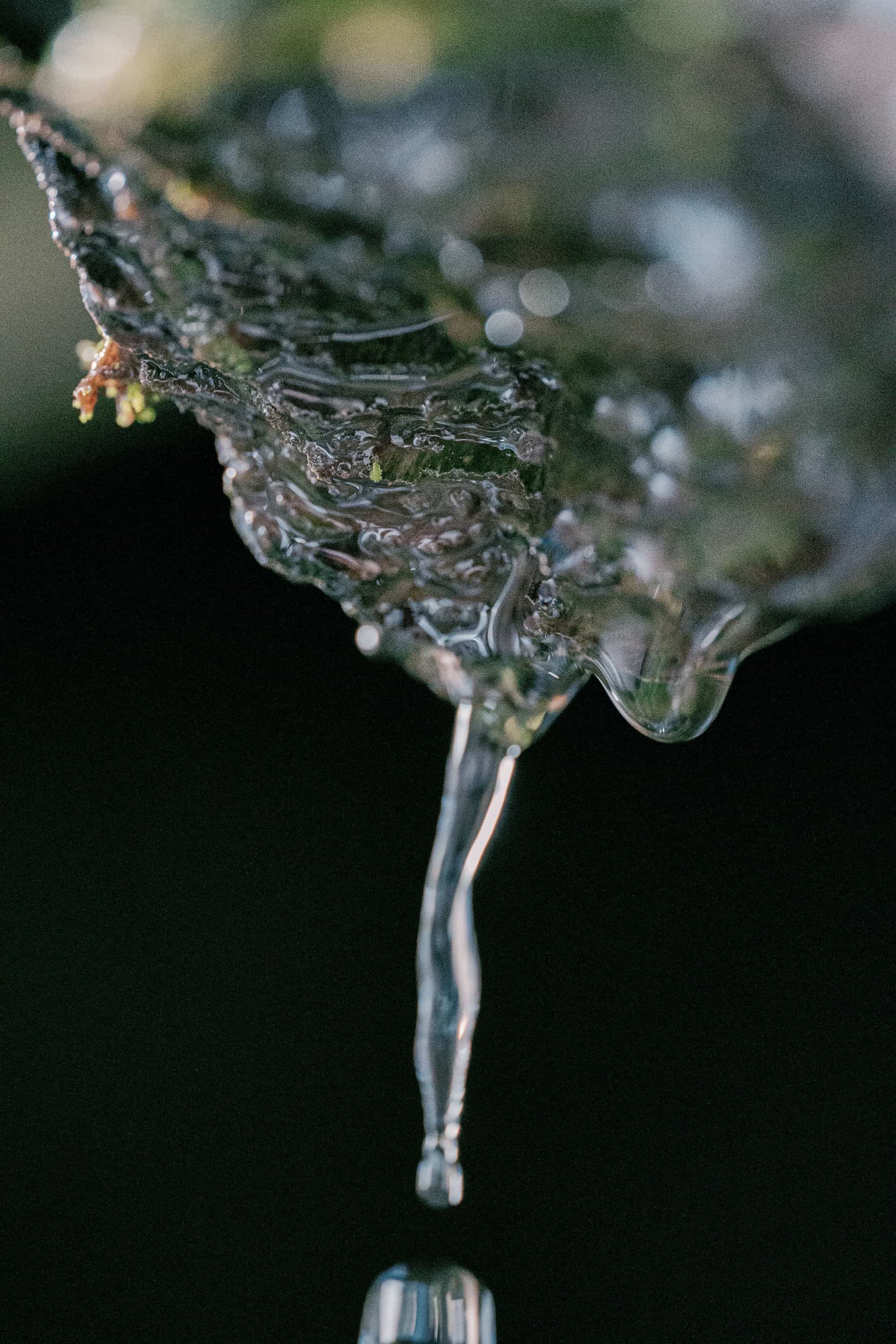 滴る水の写真
