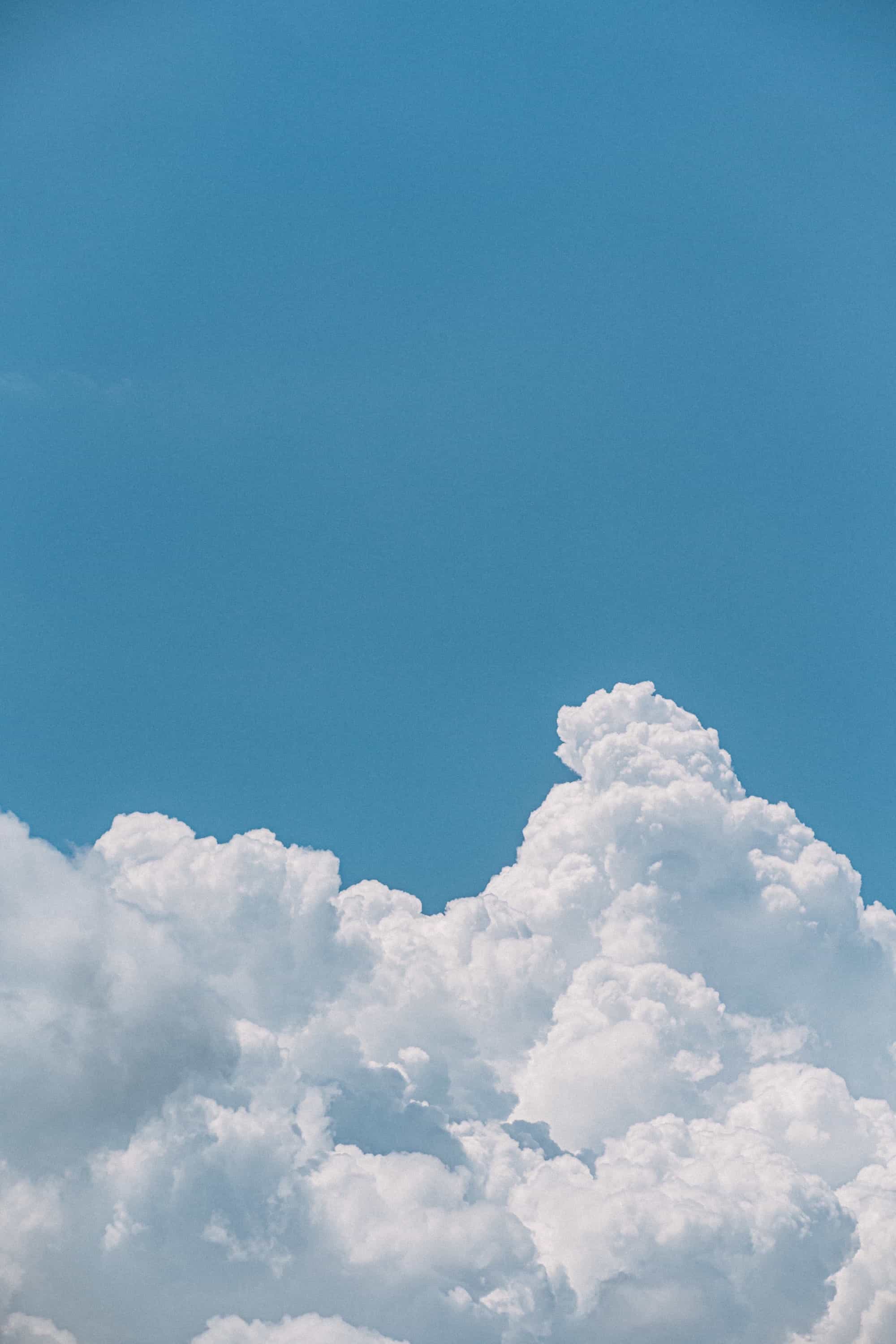 夏の空