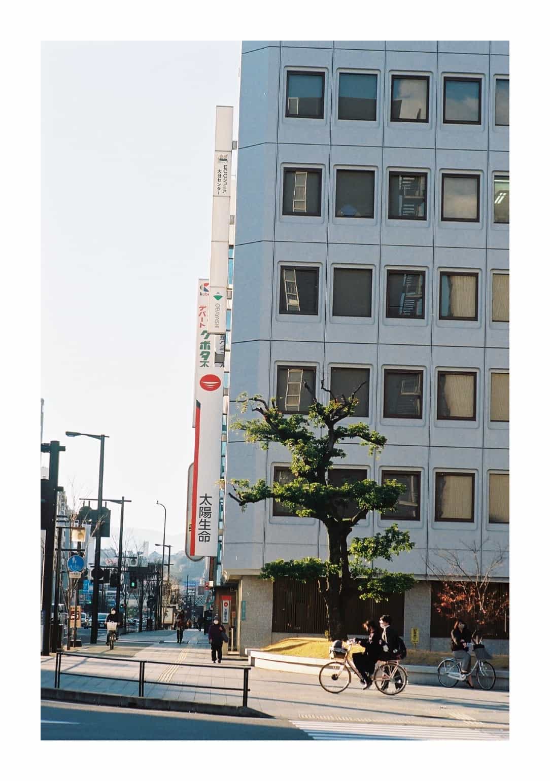横断歩道で