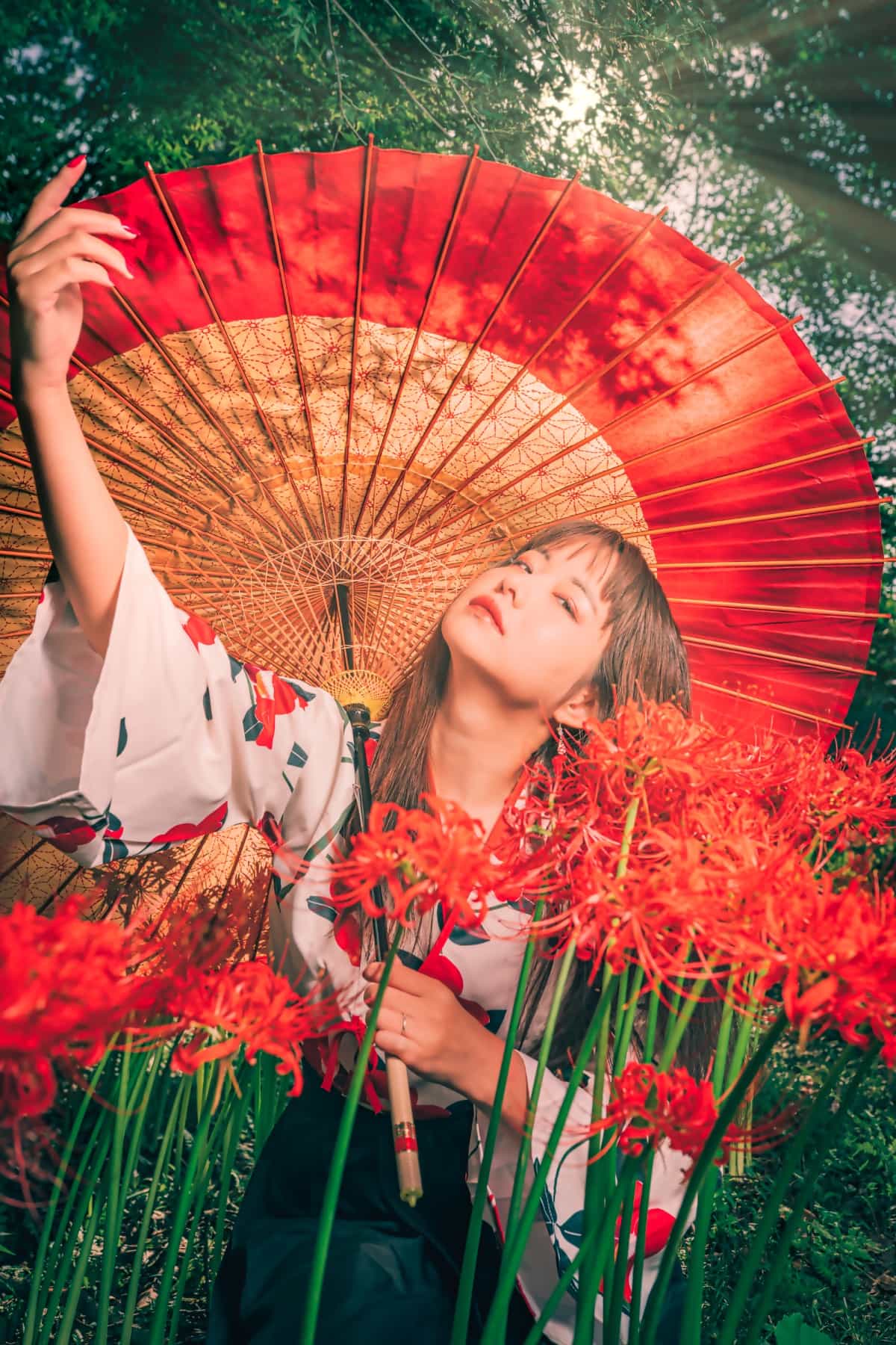彼岸花ポートレート